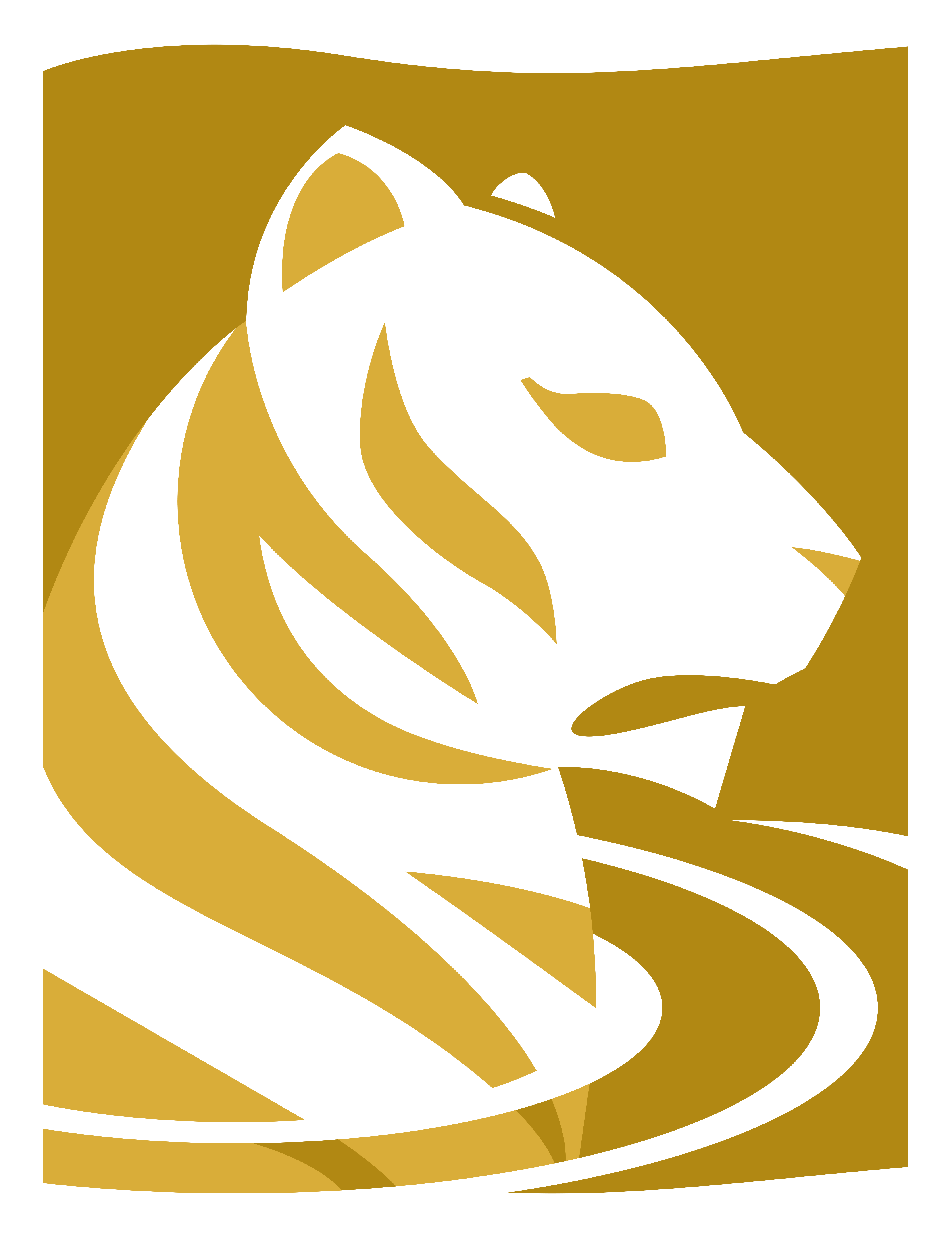 inle-risk-management-ltd-logo