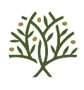 olive-vine-logo
