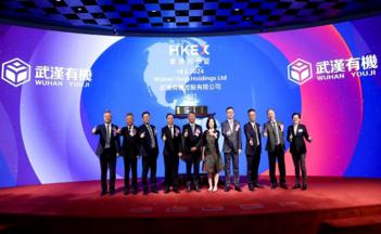 Overseas Entity Incorporation and Compliance Support for Hong Kong Listing thumbnail