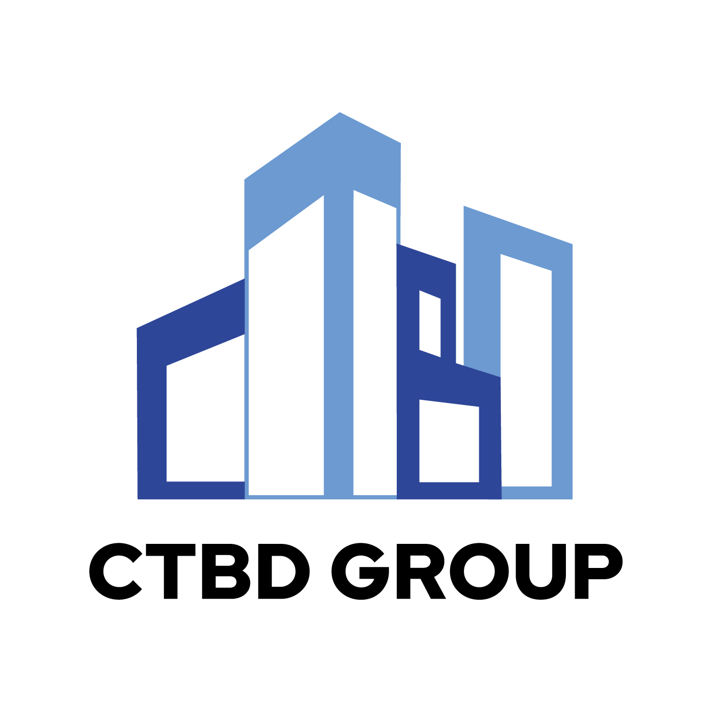 city-business-dynamic-company-limited-ctbd-group-logo