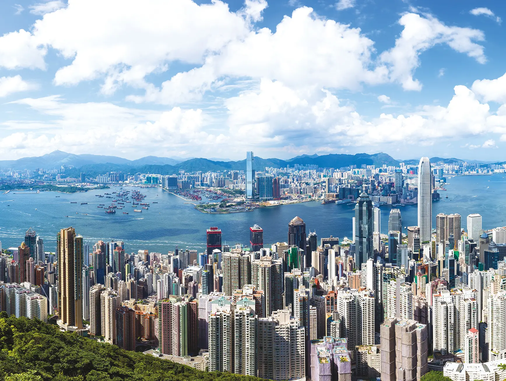 Shutterstock 586289036 S