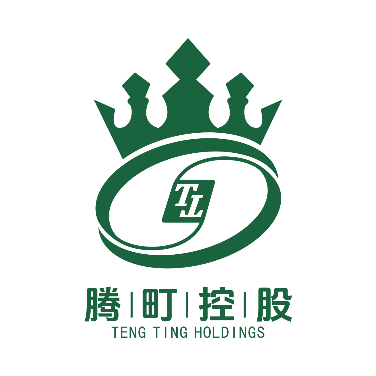 teng-ting-holdings-co-limited-logo