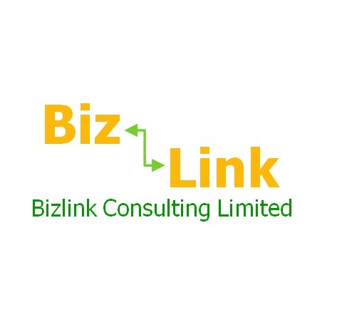 bizlink-consulting-limited-logo