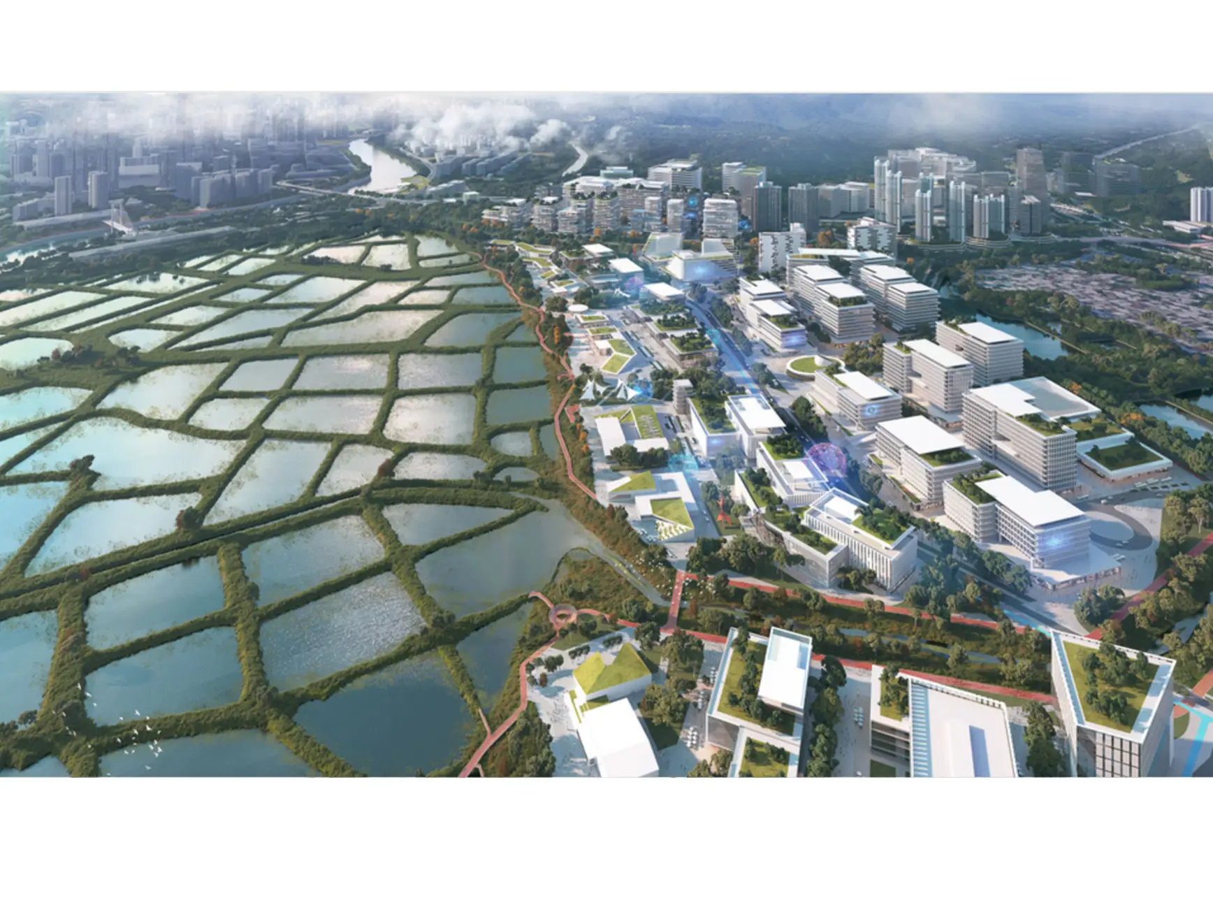 Proposed Sam Po Shue Wetland Conservation Park Copy