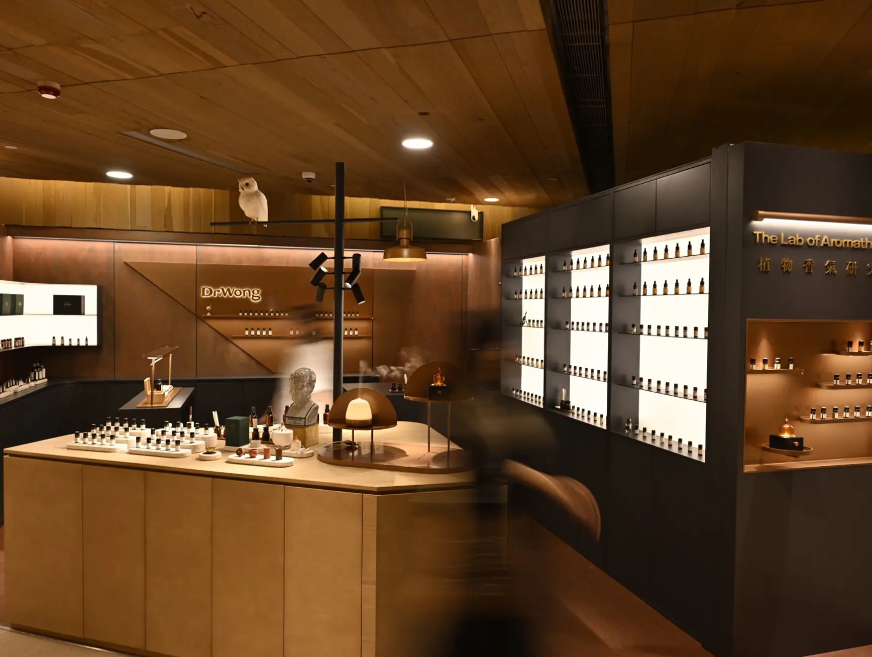 Image 20240926114059 Selected