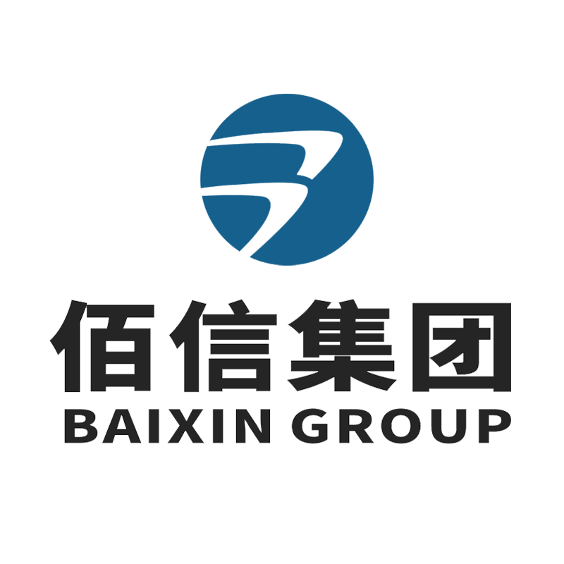 baixin-group-hong-kong-company-limited-logo