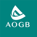 aogb-professional-services-group-limited-logo