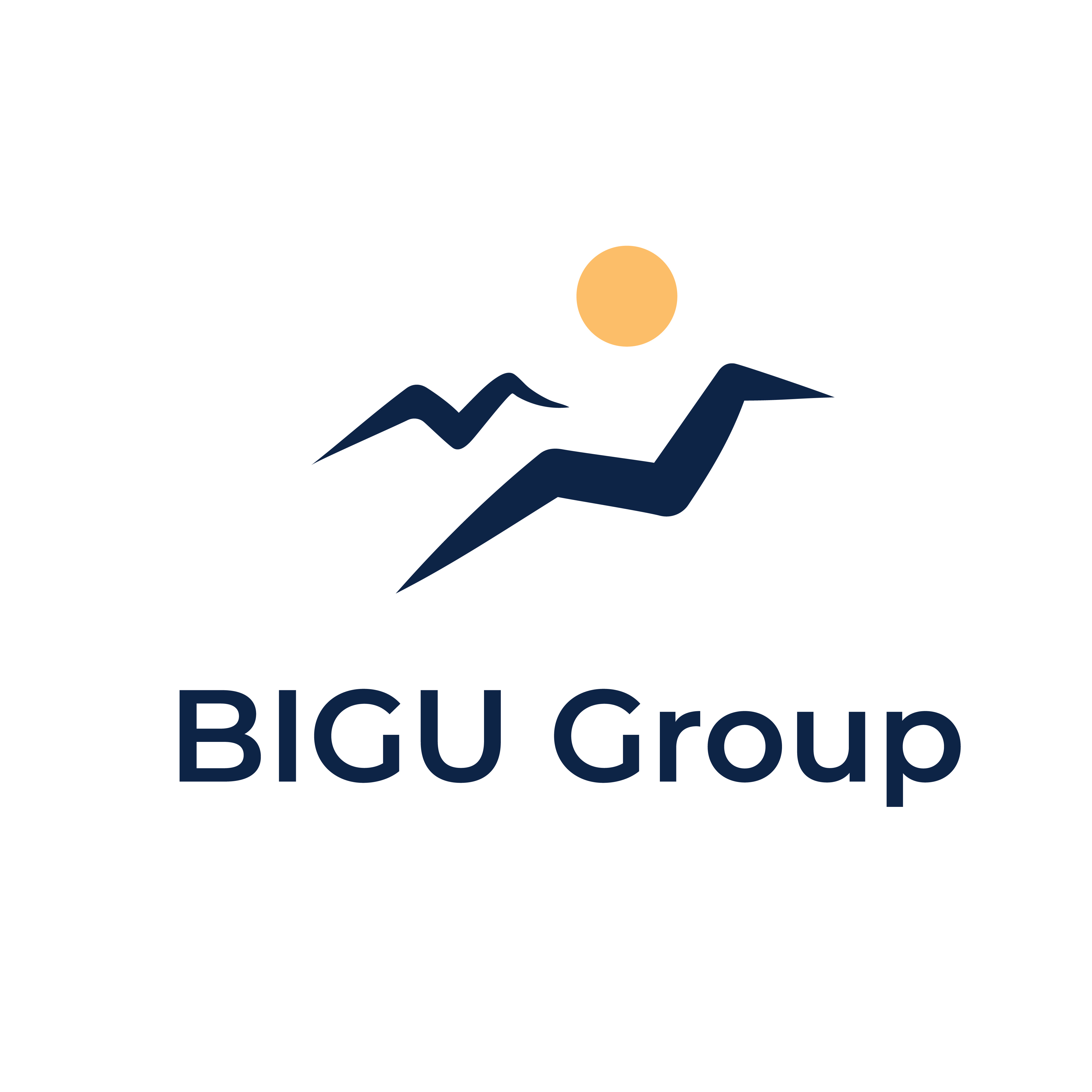 bigu-group-limited-logo
