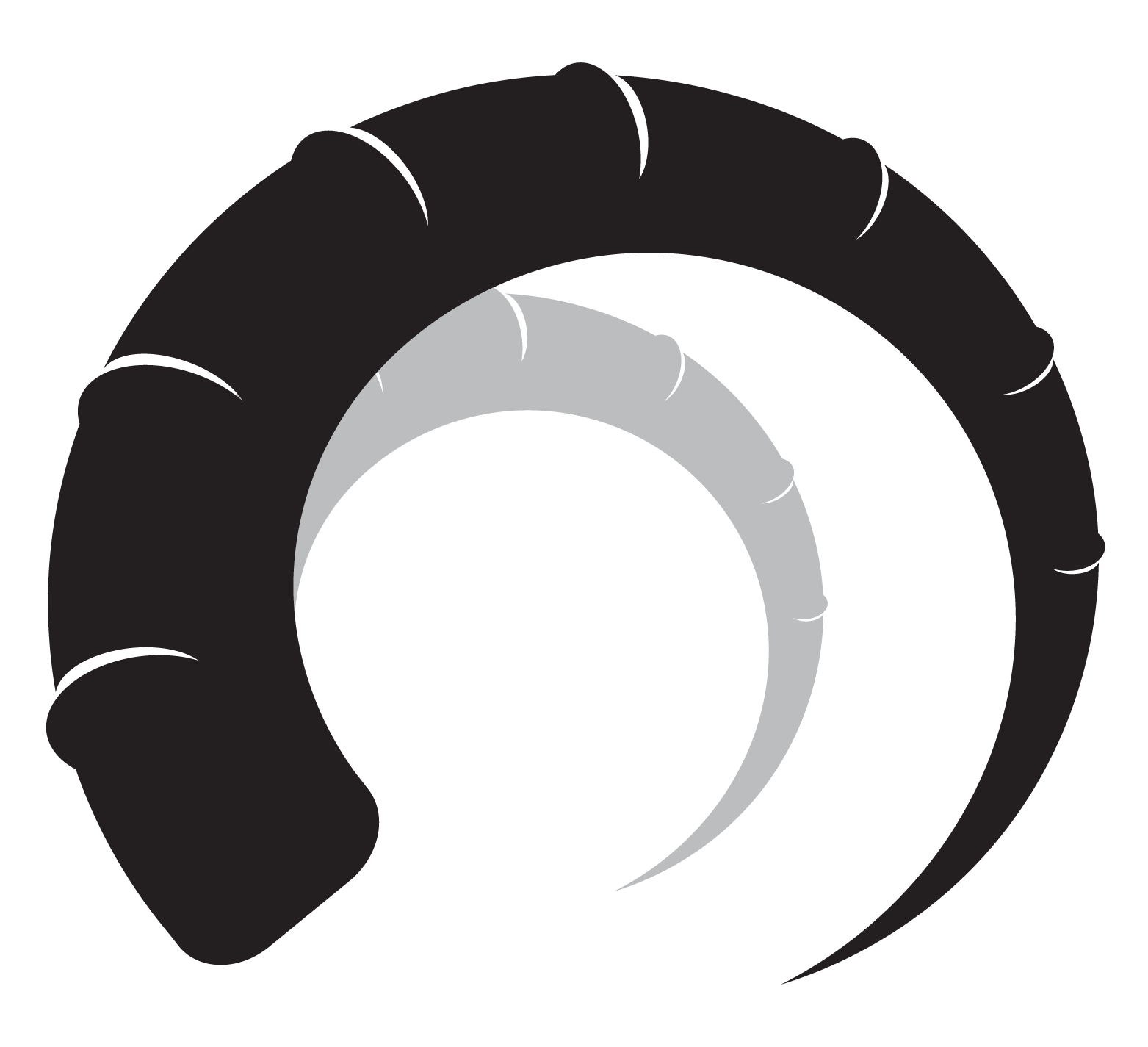 blackhorn-wealth-management-logo