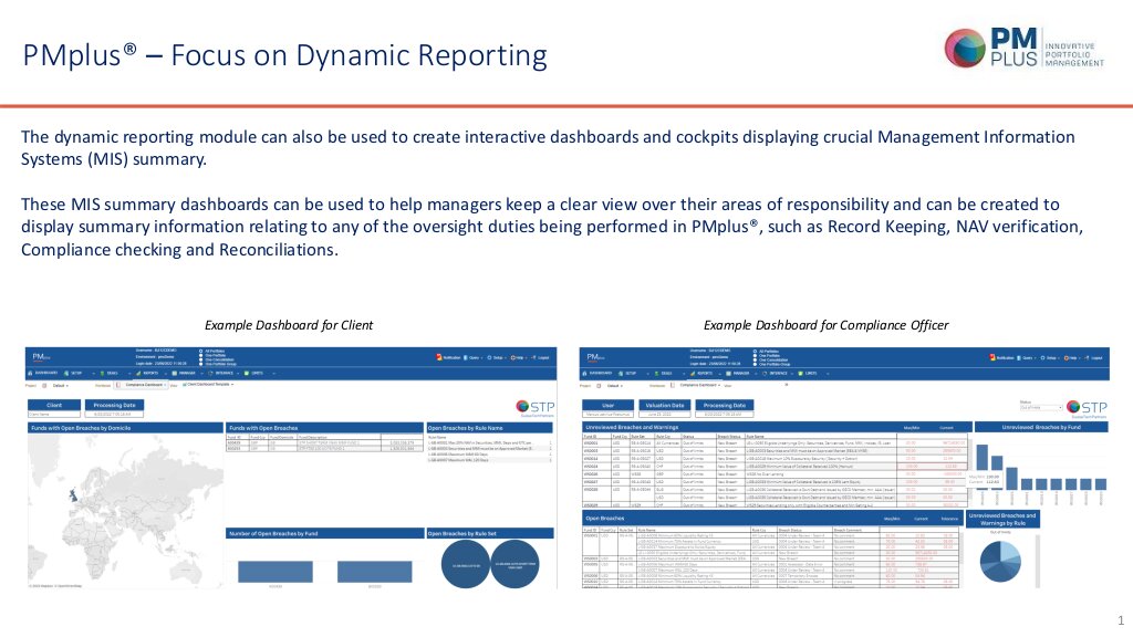 Focus on Dynamic Reporting thumbnail