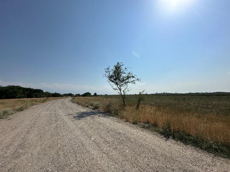 Land Valuation in Kazakhstan thumbnail